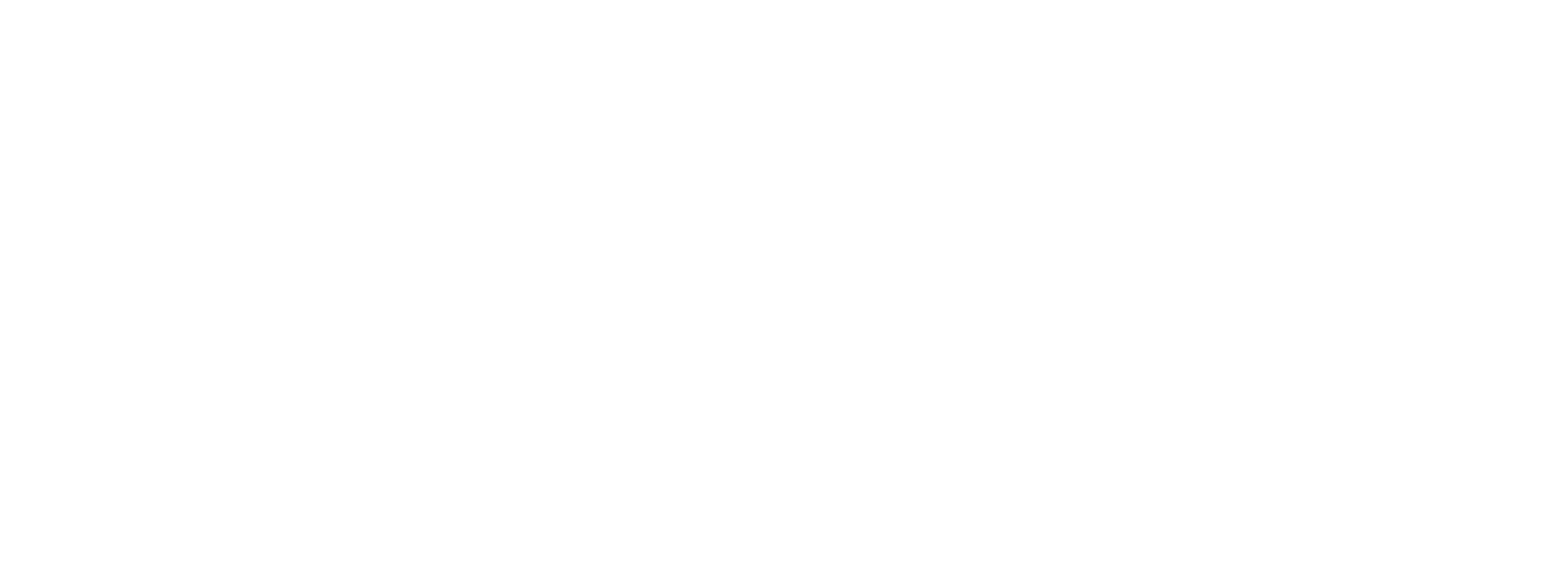 Zinser